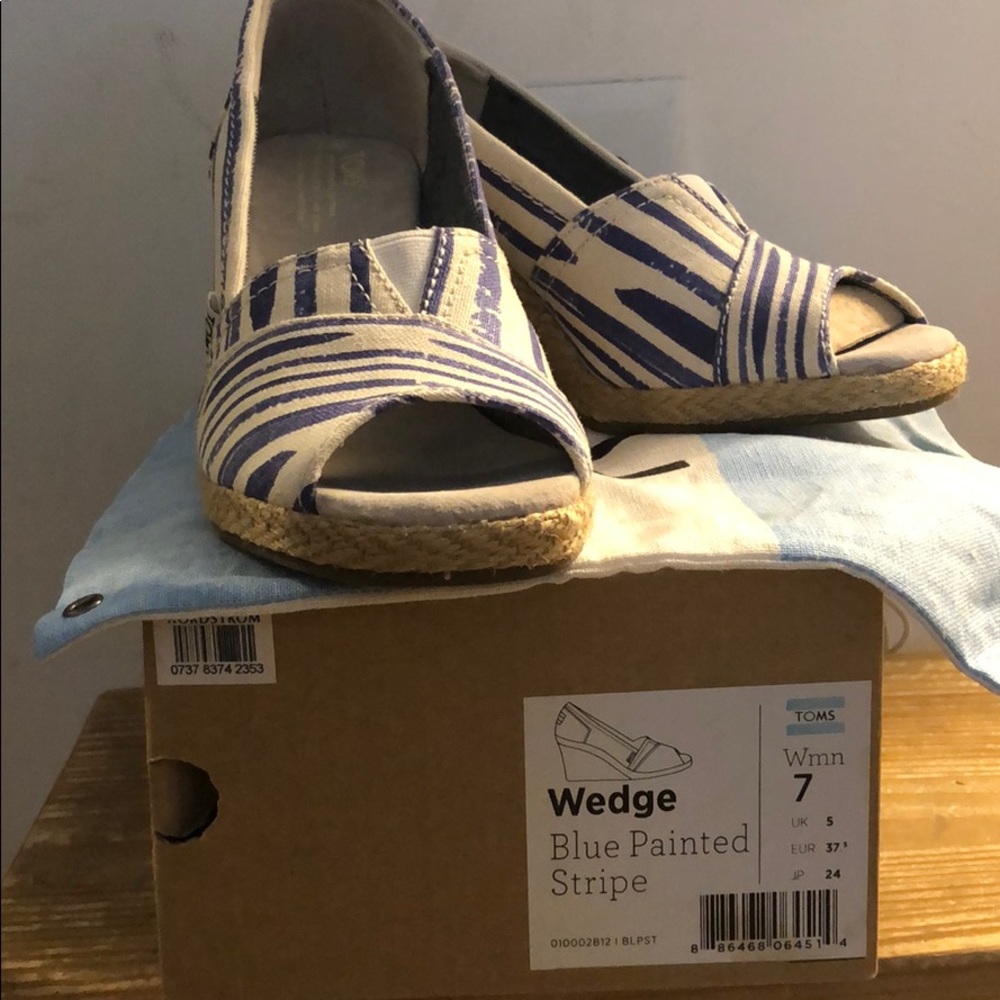 Blue painted stripe wedges
